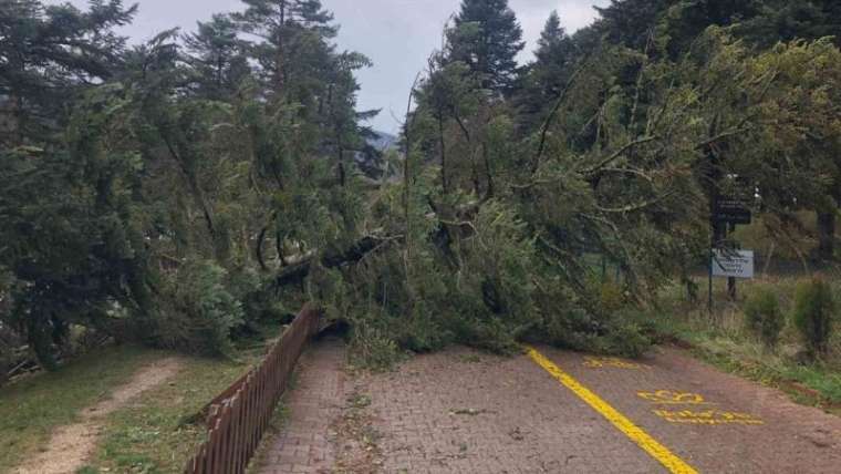  Gölcük Tabiat Parkı Lodostan Etkilendi 4