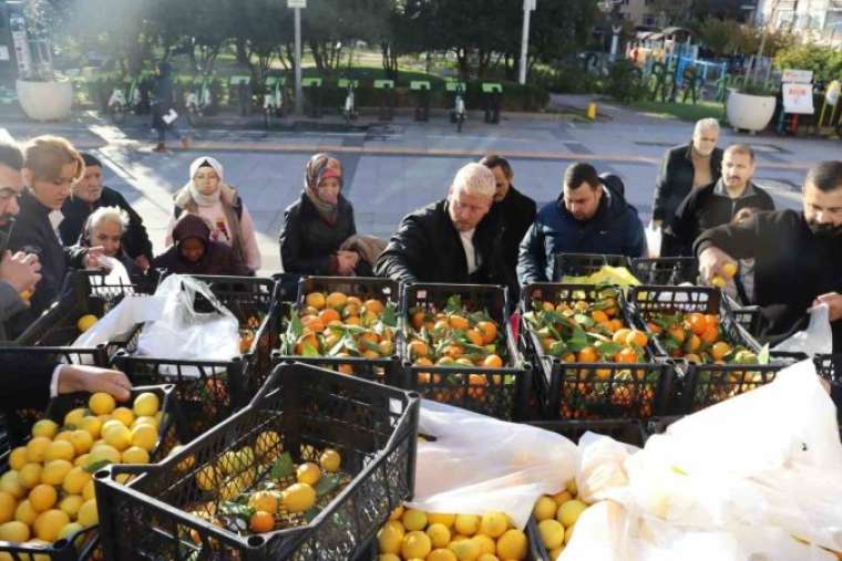 Mersin’den gönderilen meyveler İzmitlilere dağıtıldı 1