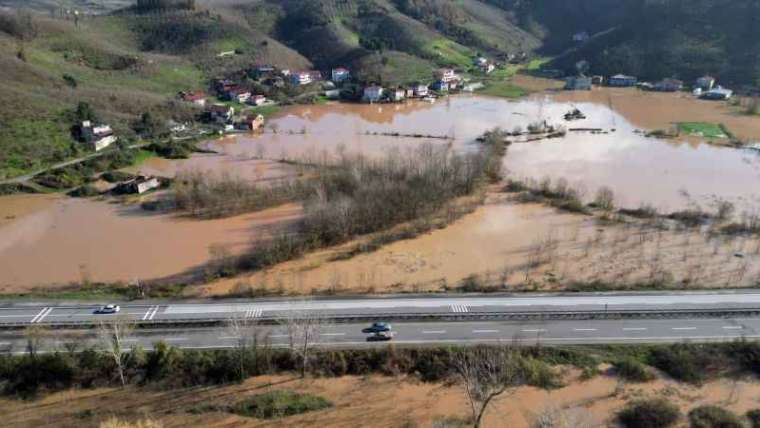 Sakarya Nehri taştı, tarım arazileri sular altında kaldı 4