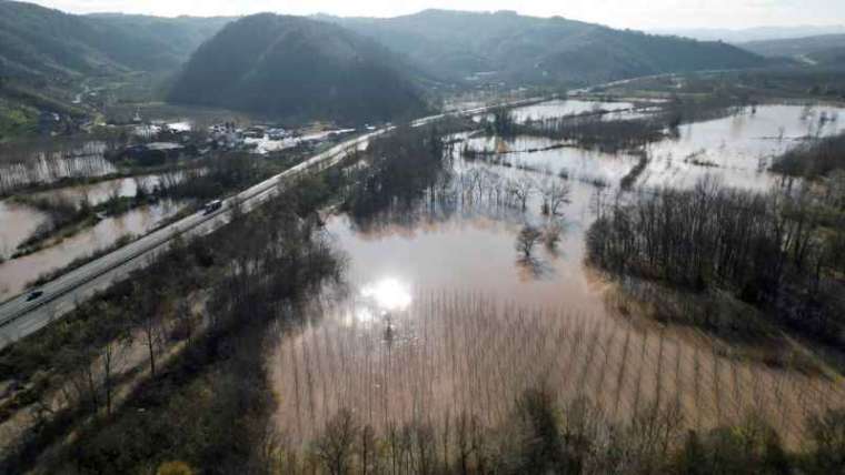 Sakarya Nehri taştı, tarım arazileri sular altında kaldı 5