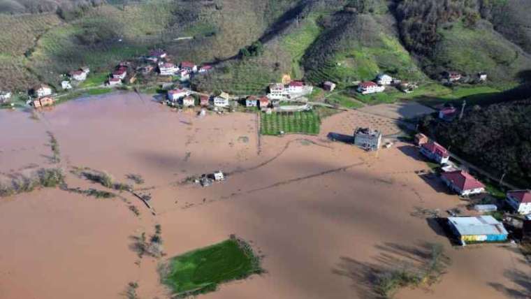 Sakarya Nehri taştı, tarım arazileri sular altında kaldı 8