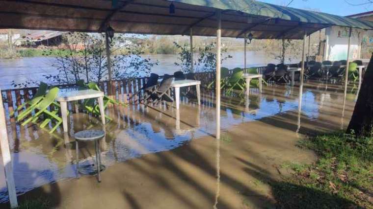 Sakarya Nehri taştı, tarım arazileri sular altında kaldı 6