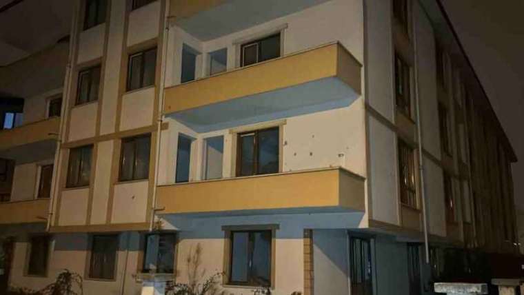 Mühürlenen Apartmanda Mahsur Kalan Köpekler Kurtarıldı  3