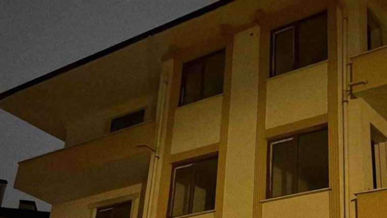 Mühürlenen Apartmanda Mahsur Kalan Köpekler Kurtarıldı  4