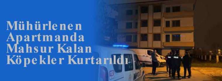 Mühürlenen Apartmanda Mahsur Kalan Köpekler Kurtarıldı  7