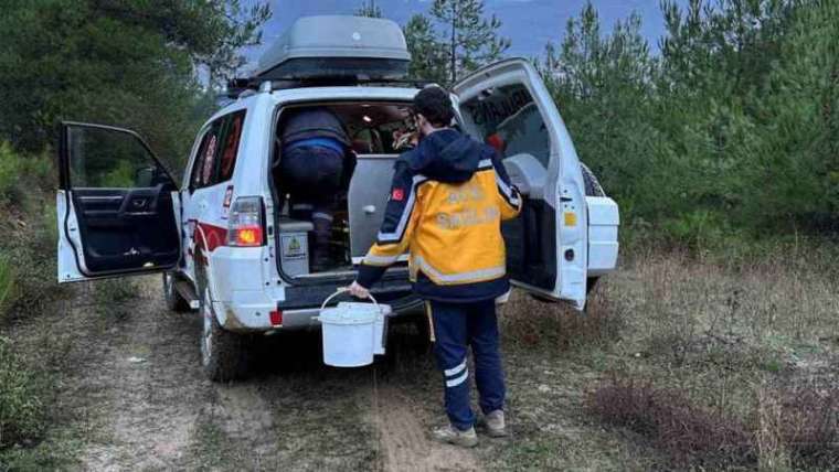 Mantar Toplamak İçin Gittiği Alanda Düşüp Mahsur Kaldı 2