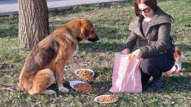 Köpeğine Doğum Günü Yapmıştı, Gelen Hediye Mamaları Sokak Hayvanlarına Dağıttı 8