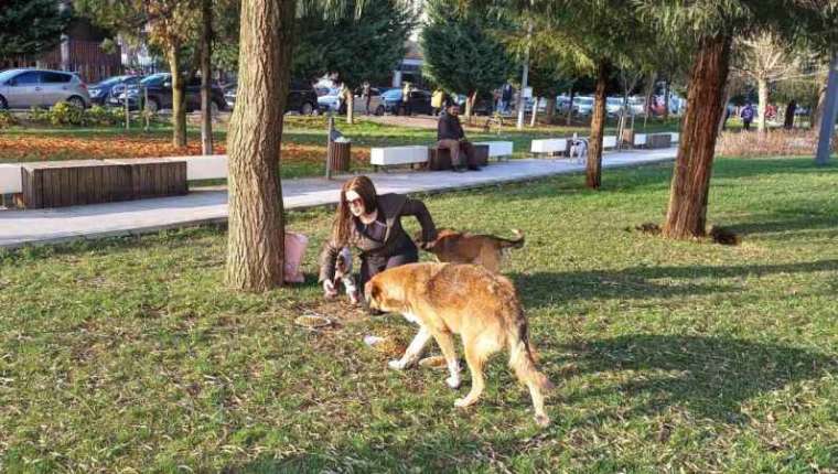 Köpeğine Doğum Günü Yapmıştı, Gelen Hediye Mamaları Sokak Hayvanlarına Dağıttı 5