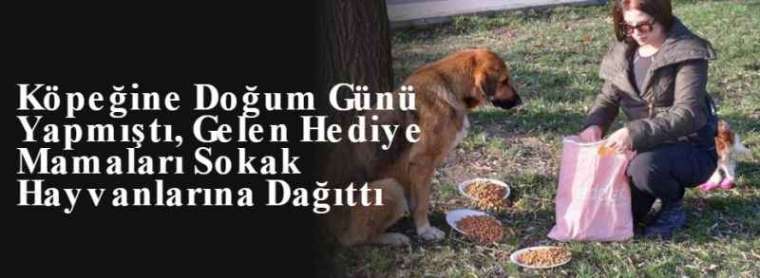 Köpeğine Doğum Günü Yapmıştı, Gelen Hediye Mamaları Sokak Hayvanlarına Dağıttı 9