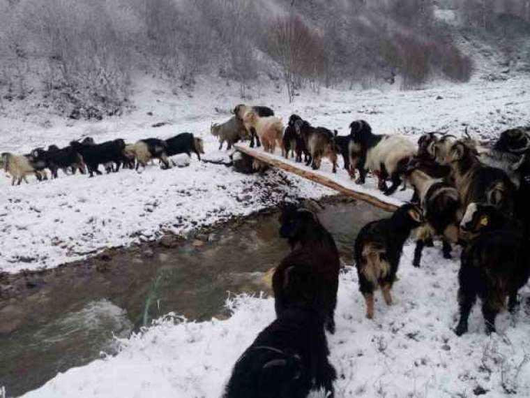 Sakarya Beyaza Büründü 1