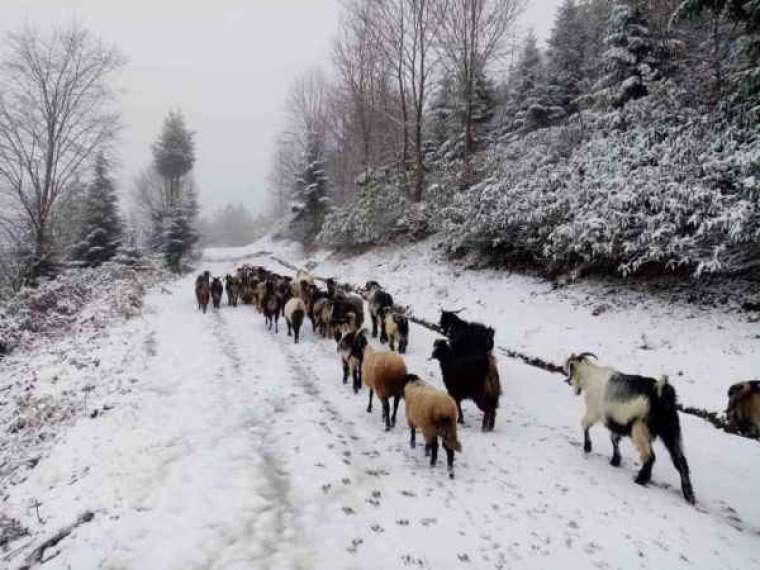 Sakarya Beyaza Büründü 3