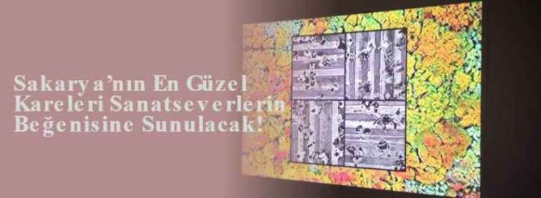 Sakarya’nın En Güzel Kareleri Sanatseverlerin Beğenisine Sunulacak! 3