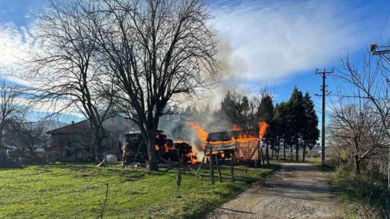 Sakarya'da Bahçedeki Samanlıklar Alev Alev Yandı 4