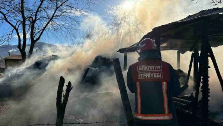 Sakarya'da Bahçedeki Samanlıklar Alev Alev Yandı 2