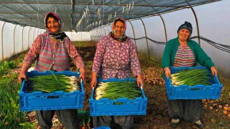 236 Milyon 210 Bin TL Tarıma Destek 5