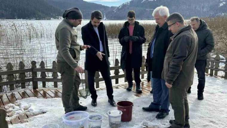 Bolu Abant Gölüne 3 bin 500 Yavru Balık Bırakıldı 2