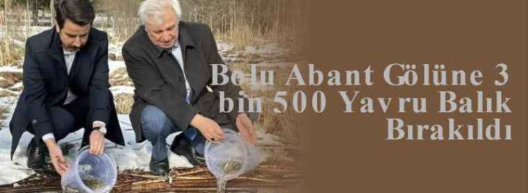 Bolu Abant Gölüne 3 bin 500 Yavru Balık Bırakıldı 4