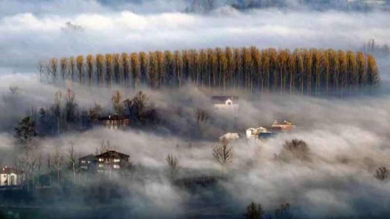 Sakarya'daki Fotoğraf Yarışması Tamamlandı 5