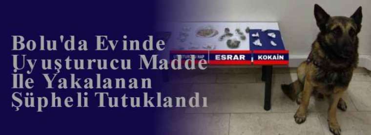 Bolu'da Evinde Uyuşturucu Madde İle Yakalanan Şüpheli Tutuklandı 3