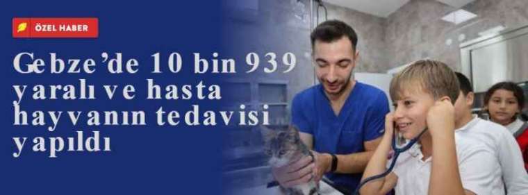 Gebze’de 10 bin 939 yaralı ve hasta hayvanın tedavisi yapıldı 5