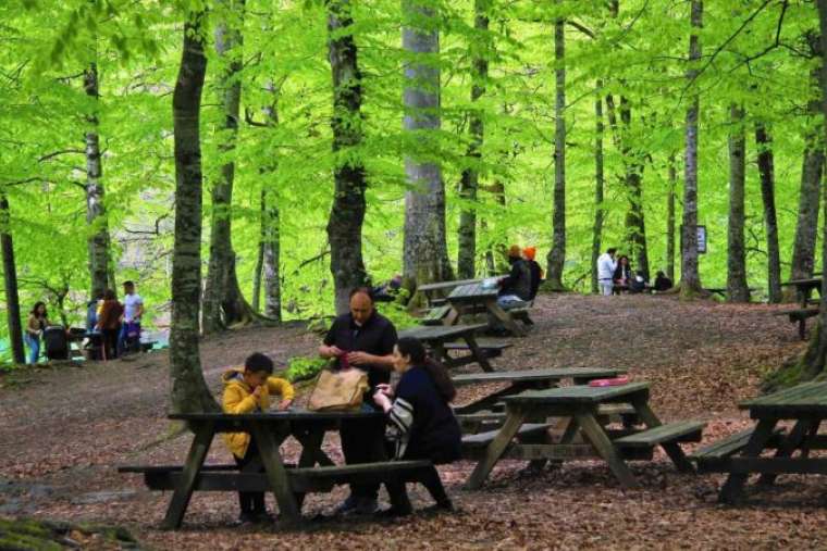 Bolu’nun Doğa Harikasında İnsan Faaliyetleri Doğal Dengeyi Bozdu 1