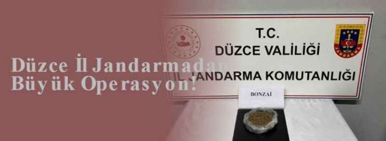 Düzce İl Jandarmadan Büyük Operasyon! 3