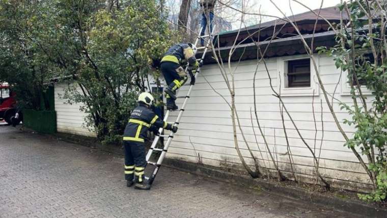 Kafenin Bacasında Çıkan Yangın Söndürüldü! 3