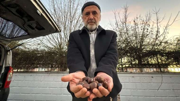 Düzce’li Uzmandan Kestane Pişirmenin Püf Noktası! 3