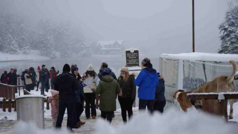 Bolu’nun İncisi Dediğimiz Gölcük Tabiat Parkı’ndan Kartpostallık Manzaralar! 2