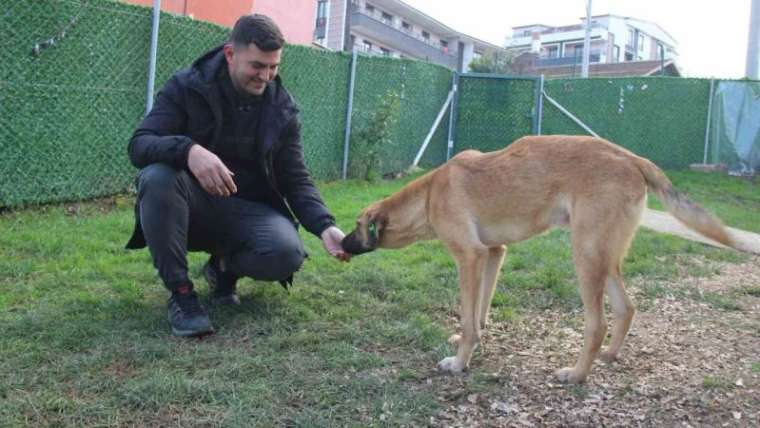 "Yürüyemez" Dendi, 1,5 Ayda Ayağa Kalktı! 5