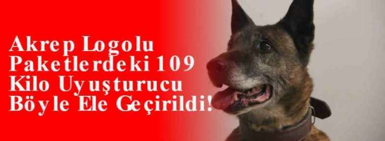 Akrep Logolu Paketlerdeki 109 Kilo Uyuşturucu Böyle Ele Geçirildi! 12