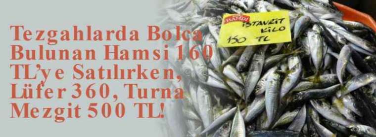 Tezgahlarda Bolca Bulunan Hamsi 160 TL’ye Satılırken, Lüfer 360, Turna Mezgit 500 TL! 8