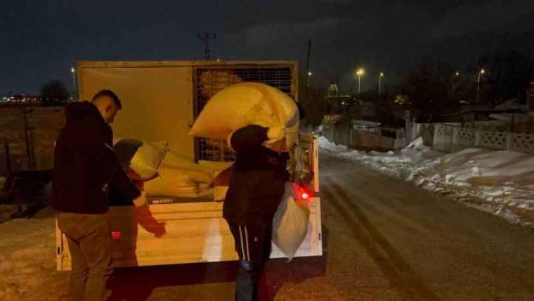 Bolu'da Aç Kalan Yılkı Atları Şehir Merkezine Kaçtı 5