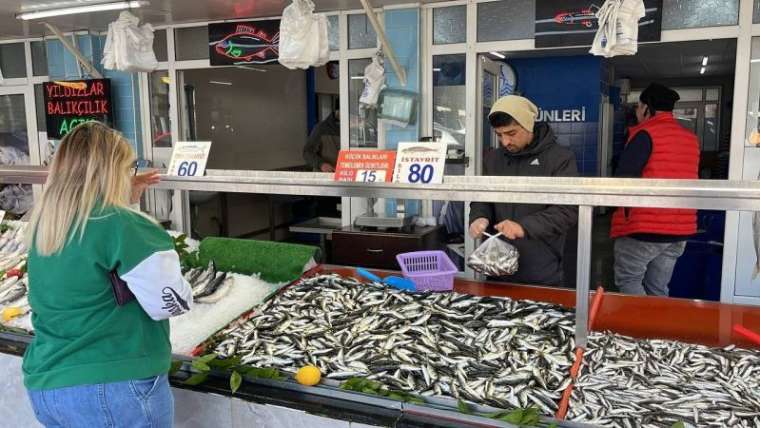 Bolu'da Hamsi Dönemi Bitiyor 3