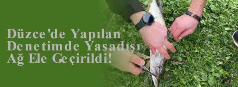 Düzce'de Yapılan Denetimde Yasadışı Ağ Ele Geçirildi! 5