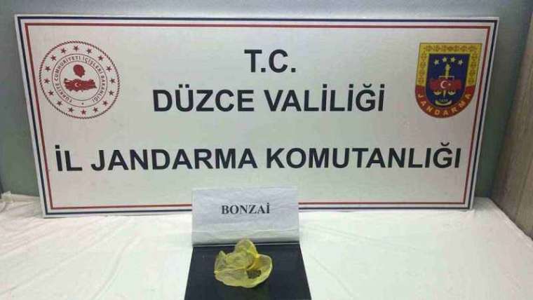  Düzce Jandarması Suçlulara Göz Açtırmıyor 1