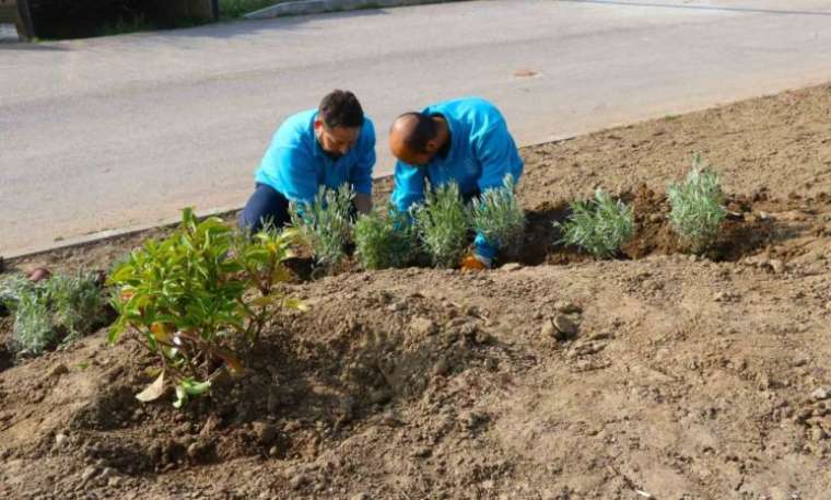 Kocaeli Büyükşehir Belediyesi'nden 800 Fidan 2