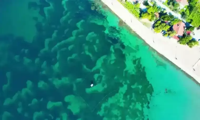  Kerpe'nin Sualtı Hazinesi 12