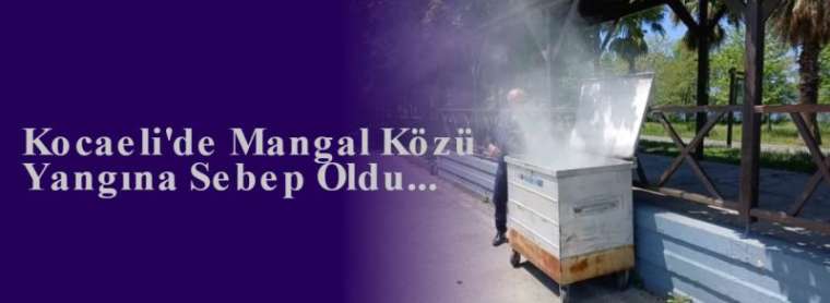 Kocaeli'de Mangal Közü Yangına Sebep Oldu... 3