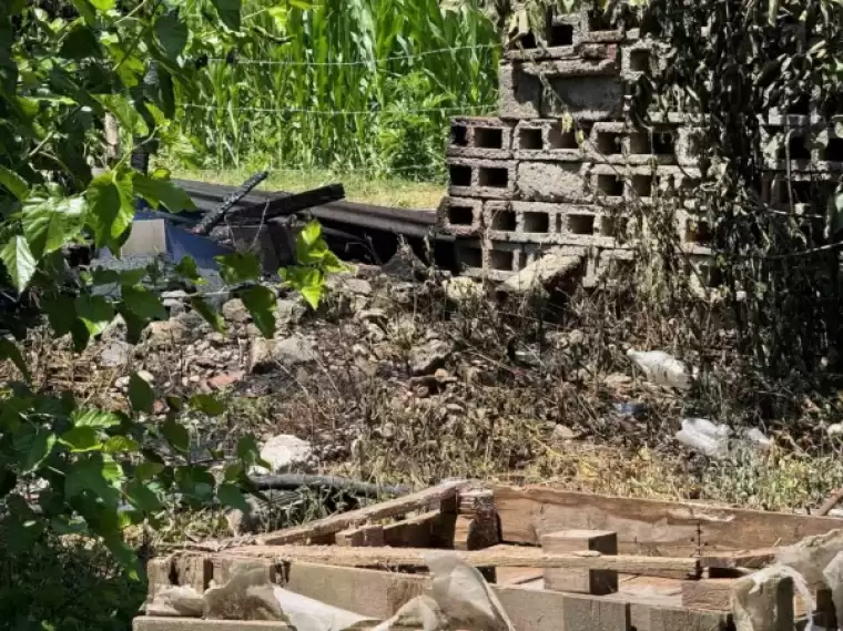 Sakarya'da Bahçeye Atılan Sigara İzmariti Yangına Neden Oldu 6