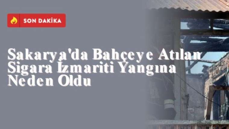 Sakarya'da Bahçeye Atılan Sigara İzmariti Yangına Neden Oldu 7