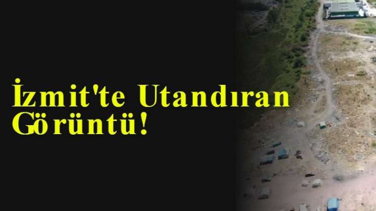 İzmit'te Utandıran Görüntü! 9