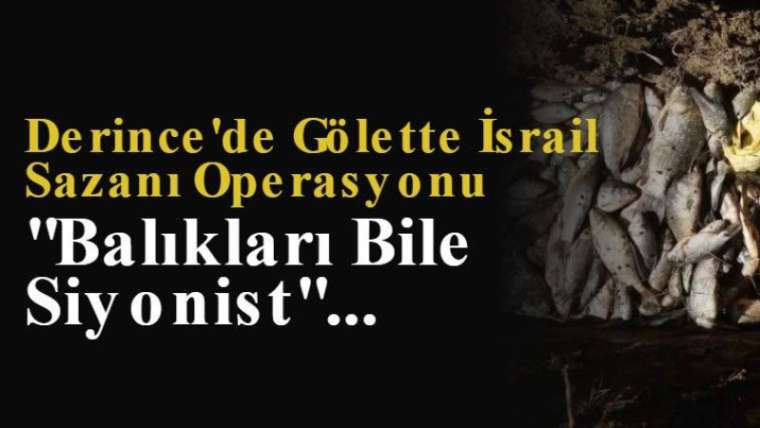 Derince'de Gölette İsrail Sazanı Operasyonu: "Balıkları Bile Siyonist" 11