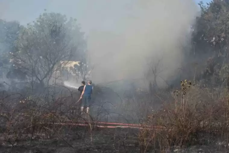 Sakarya’da Arazi Yangını Ekipleri Harekete Geçirdi 1