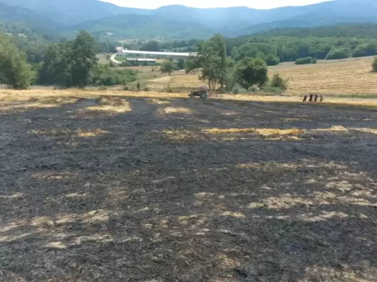 Bolu'da Balya Yapılmayı Bekleyen Buğday Sapları Alev Alev Yandı 1