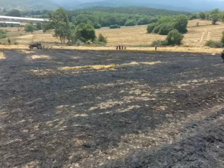 Bolu'da Balya Yapılmayı Bekleyen Buğday Sapları Alev Alev Yandı 2