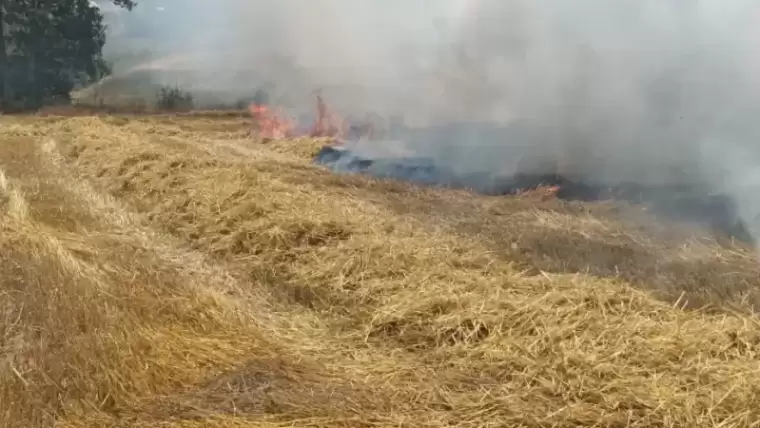 Bolu'da Balya Yapılmayı Bekleyen Buğday Sapları Alev Alev Yandı 3