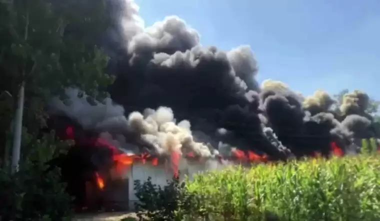 Sakarya’da Korkutan Yangın: Ahşap Atölyesi Alev Topuna Döndü 1