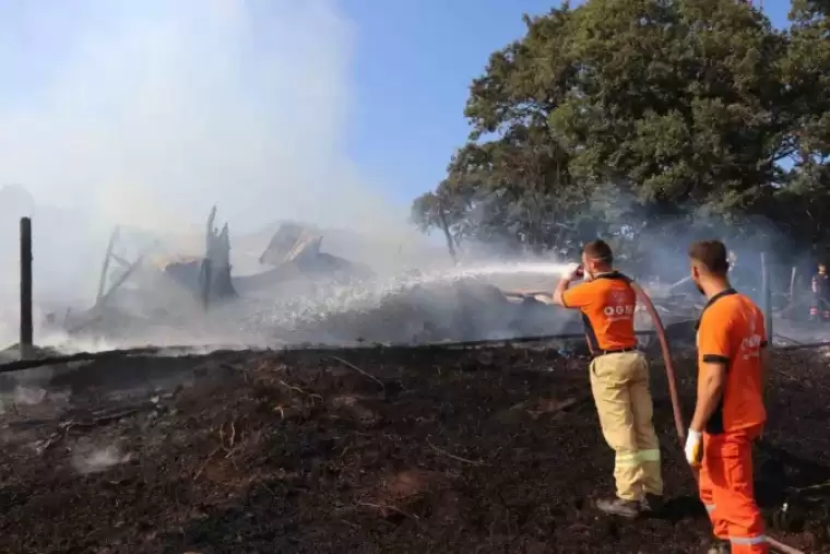 Sakarya’da Korkutan Yangın: Ahırda Başladı Ormanlık Alana Sıçradı 2