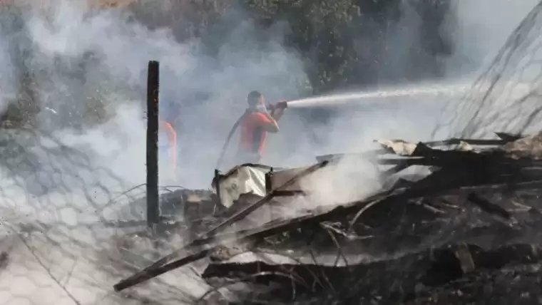 Sakarya’da Korkutan Yangın: Ahırda Başladı Ormanlık Alana Sıçradı 8